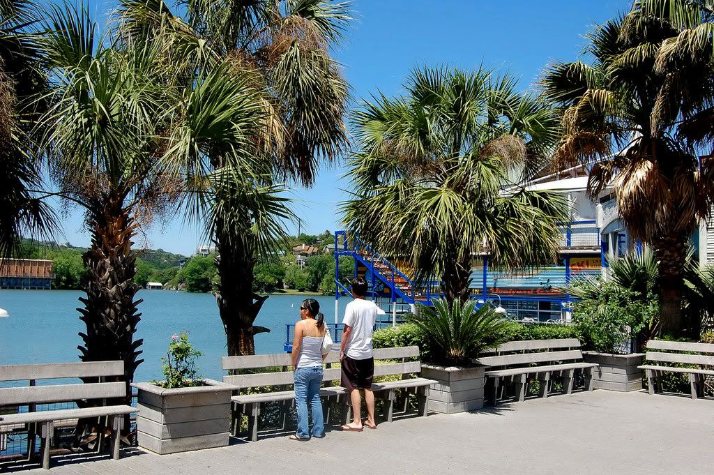 Springtime in Austin, Texaspart 2 (95 photos) SkyscraperPage Forum